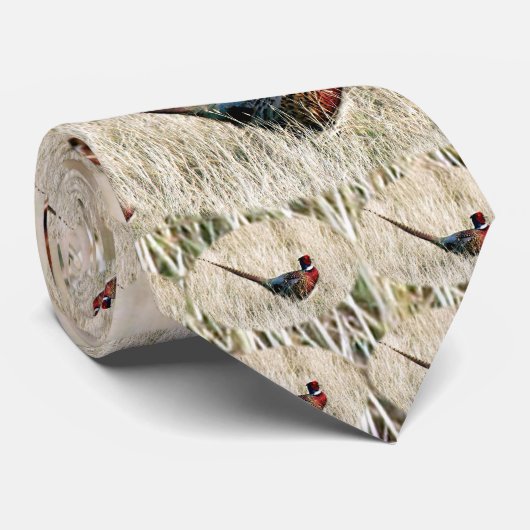 Cravate Faisan de cou d'anneau dans le pré (Roulé)