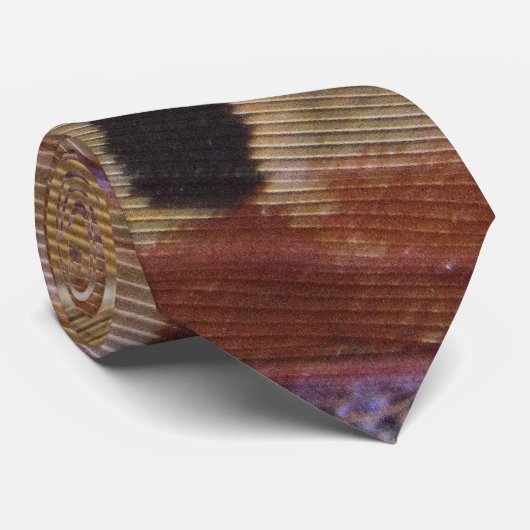 Cravate Faisan Tailfeathers (Roulé)