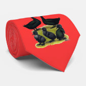 Cravate Famille Cayuga Duck (Roulé)