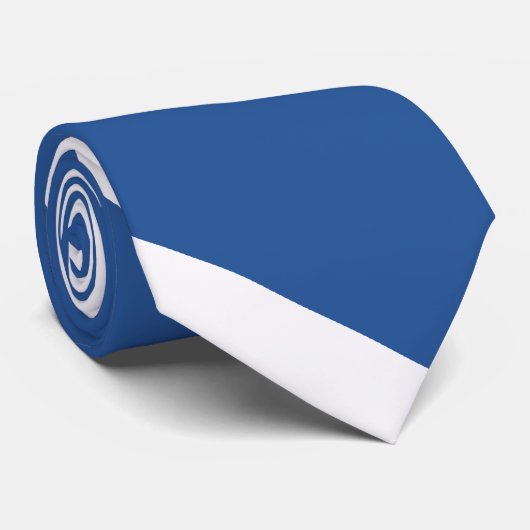 Cravate Faucon bleu et blanc d'air Diagonal-Rayé (Roulé)