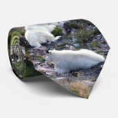 Cravate Faune de l'Amérique du Nord 2 (Roulé)