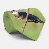 Cravate Femme Belted Kingfisher dehors sur un membre (Roulé)