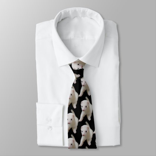 Cravate Ferret Bébé Blanc (Attaché)