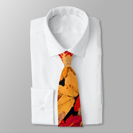 Cravate Feuillage d'automne en rouge orange jaune Brown (Attaché)