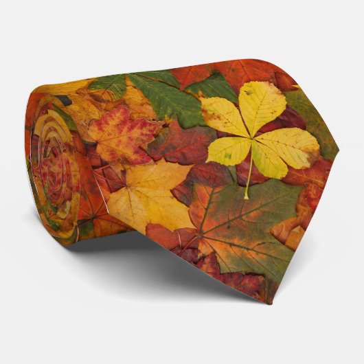 Cravate Feuille de chute (Roulé)