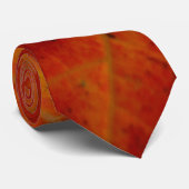 Cravate Feuille d'érable rouge Abstraite Automne Photograp (Roulé)
