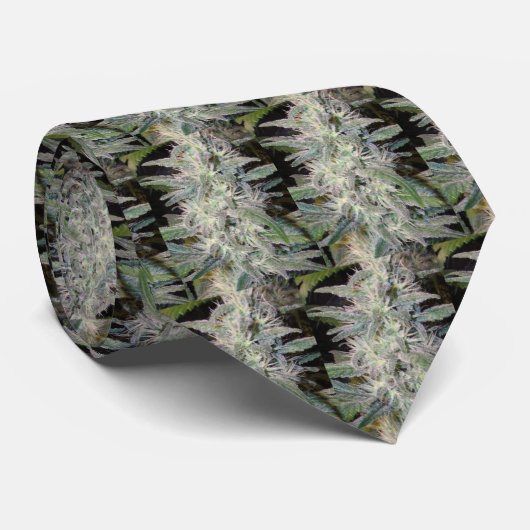 Cravate feuille douce (Roulé)