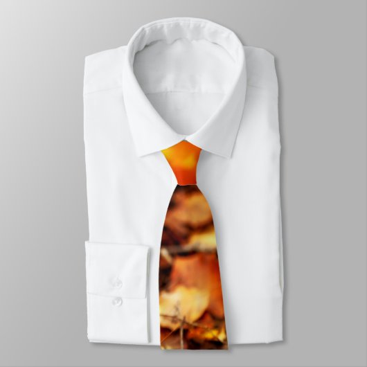 Cravate Feuille tombé par automne (Attaché)