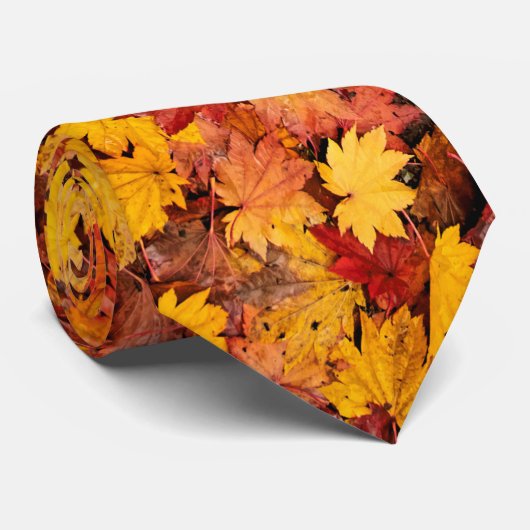 CRAVATE FEUILLES D'AUTOMNE (Roulé)