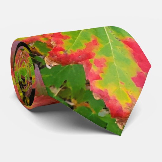 Cravate Feuilles d'automne (Roulé)