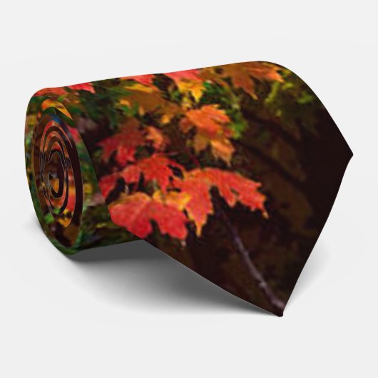 Cravate Feuilles d'automne orange et vert (Roulé)