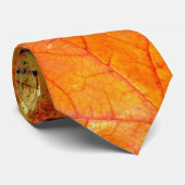 Cravate Feuilles d'automne tombées (Roulé)