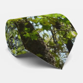 Cravate Feuilles de l'érable de printemps (Roulé)