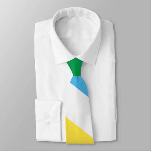 Cravate Fierté d'invalidité (Attaché)