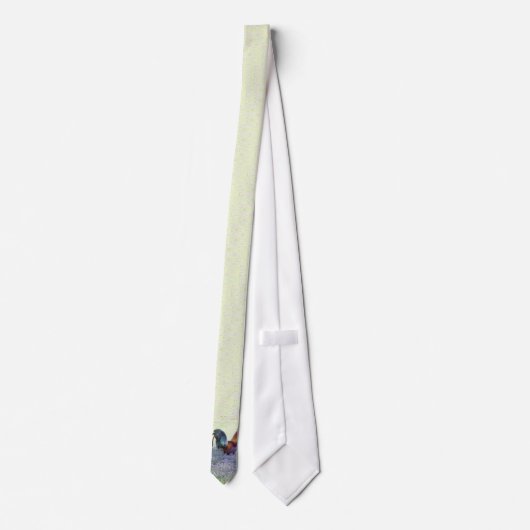 Cravate Fierté faite varier le pas (Dos)