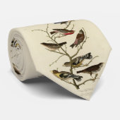 Cravate Finch, Bunting, Grosbeak, Audubon Birds of America (Roulé)