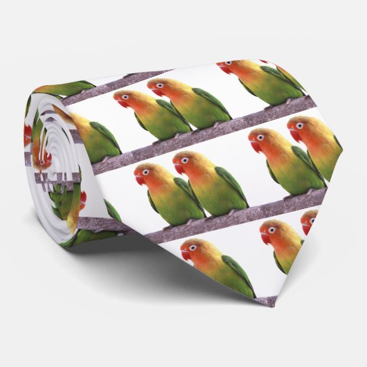 Cravate Fischer's Lovebird (Roulé)
