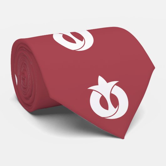 Cravate Flag of Aichi Prefecture, Japan (Roulé)