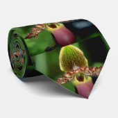 Cravate Fleurs d'Argus de Paphiopedilum de chaux (Roulé)