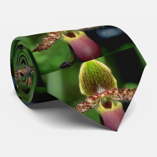 Cravate Fleurs d'Argus de Paphiopedilum de chaux (Roulé)