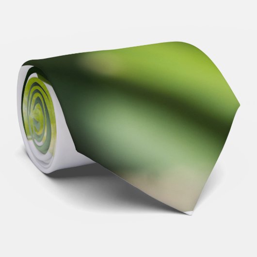 Cravate Fleurs de neige (Roulé)