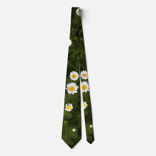 Cravate Fleurs marguerites blanches (Devant)