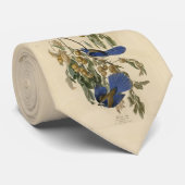 Cravate Florida Jay (Scrub-Jay) Audubon's Birds of America (Roulé)