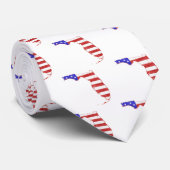 Cravate Floride États-Unis silhouette carte (Roulé)