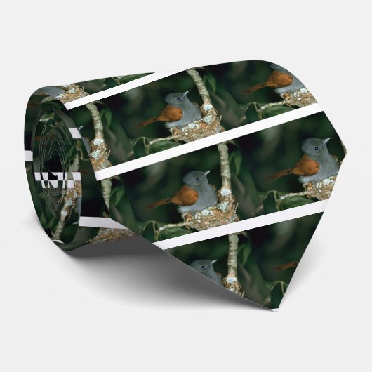 Cravate FLYCATCHER de paradis (Roulé)