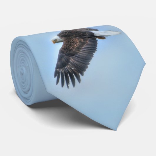 Cravate Flying Bald Eagle Wildife Photo 4 (Roulé)