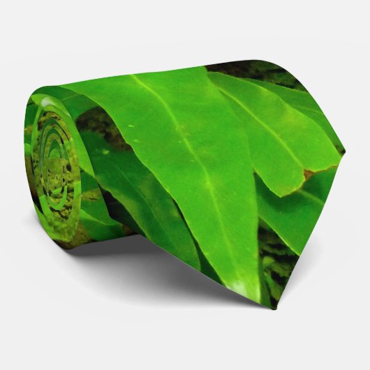 Cravate Forêt tropicale tropicale hawaïenne (Roulé)