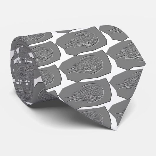 Cravate fossile de Trilobite (Roulé)