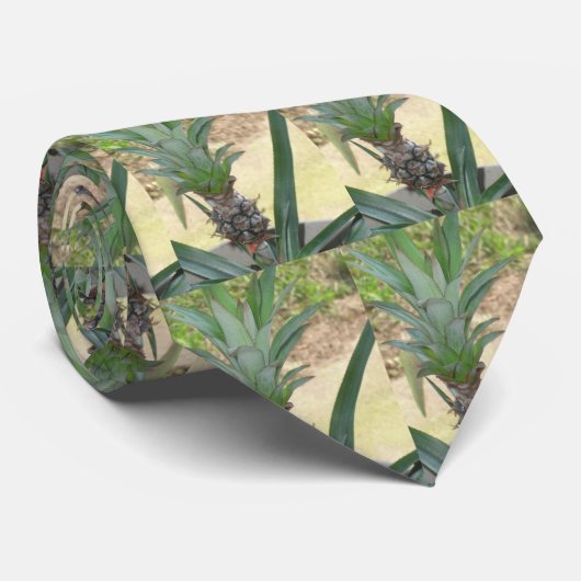 Cravate Fou pour des ananas (Roulé)