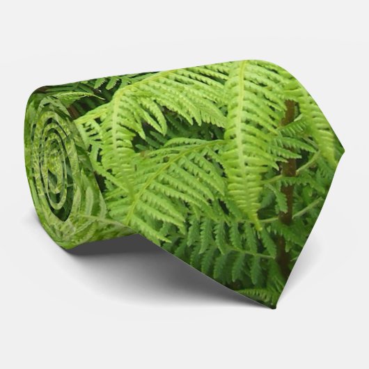 Cravate Fougère (Roulé)