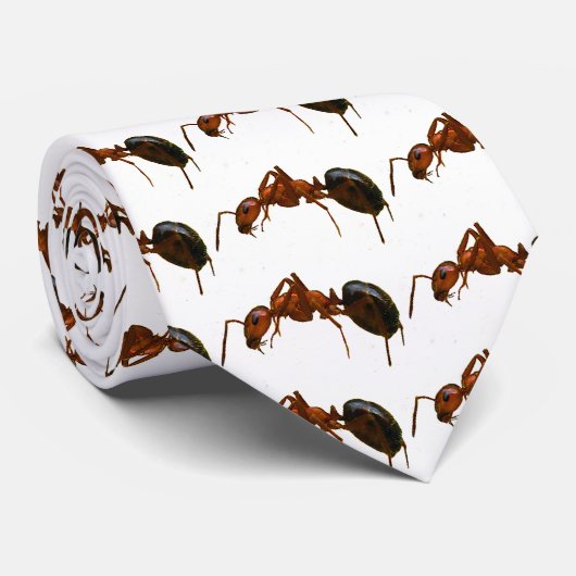 Cravate Fourmi de feu (Roulé)