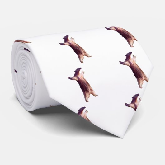 Cravate Fourmilier (Roulé)