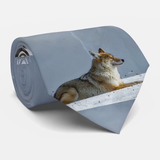 Cravate Fox (Roulé)