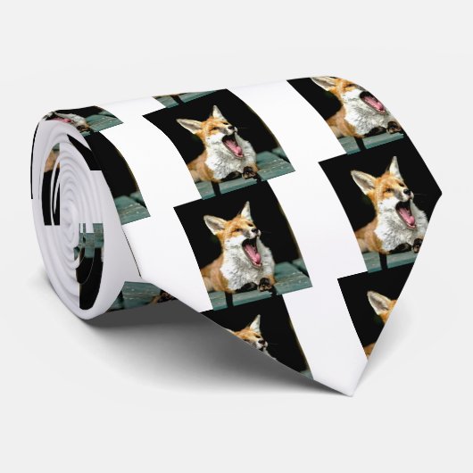 Cravate Fox - photo pro (Roulé)