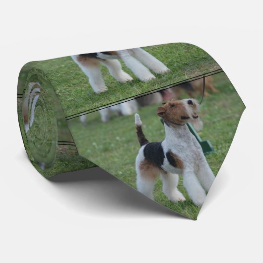 Cravate Fox Terrier (Roulé)
