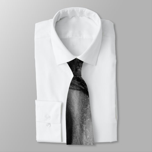 Cravate Friesian Stallion au vent. (Attaché)