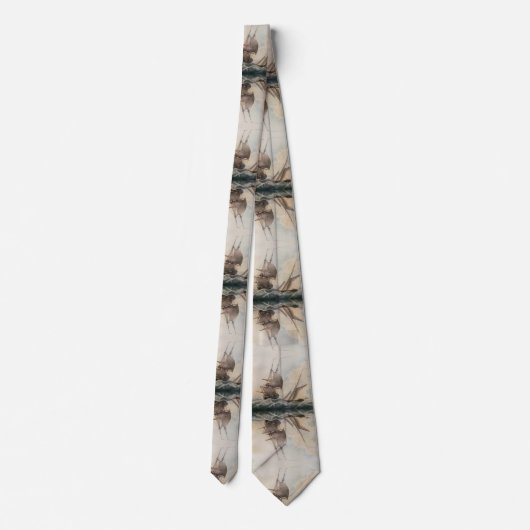 Cravate Frigate dans une houle 17ème siècle (Dos)