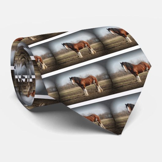 Cravate frontière noire de clydesdale (Roulé)