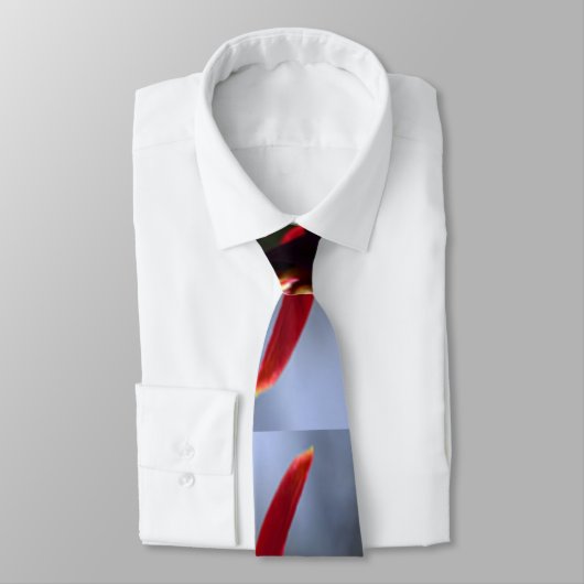 Cravate Fuchsia (Attaché)