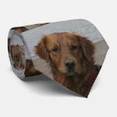 CRAVATE GARÇON D'EAU - GOLDEN RETRIEVER (Roulé)