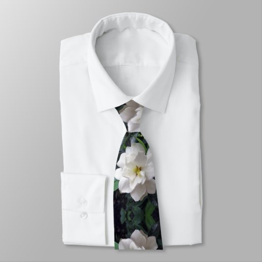 Cravate Gardénia (Attaché)