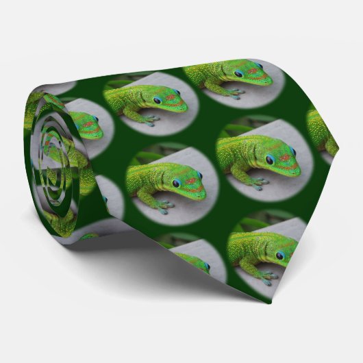 Cravate Gecko Gold Dust Day - Audition et obtenir quelques (Roulé)