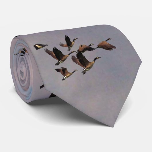 CRAVATE GEESE (Roulé)