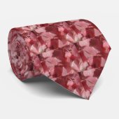 Cravate Géranium rose : presque solide Rose clair (Roulé)