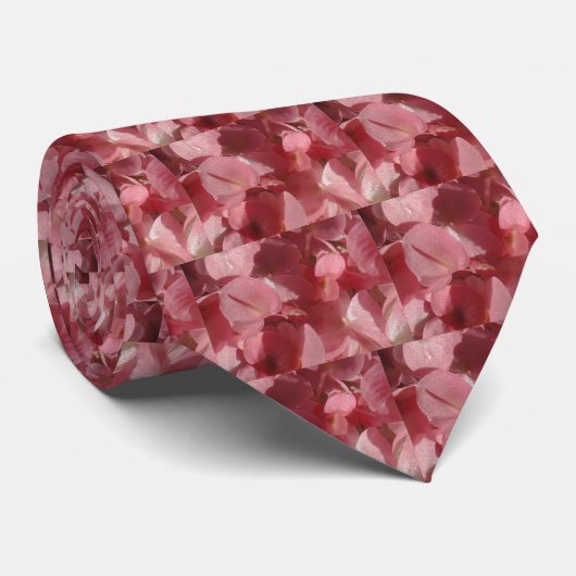 Cravate Géranium rose : presque solide Rose clair (Roulé)