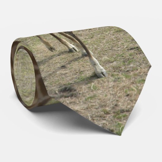 Cravate Girafe (Roulé)